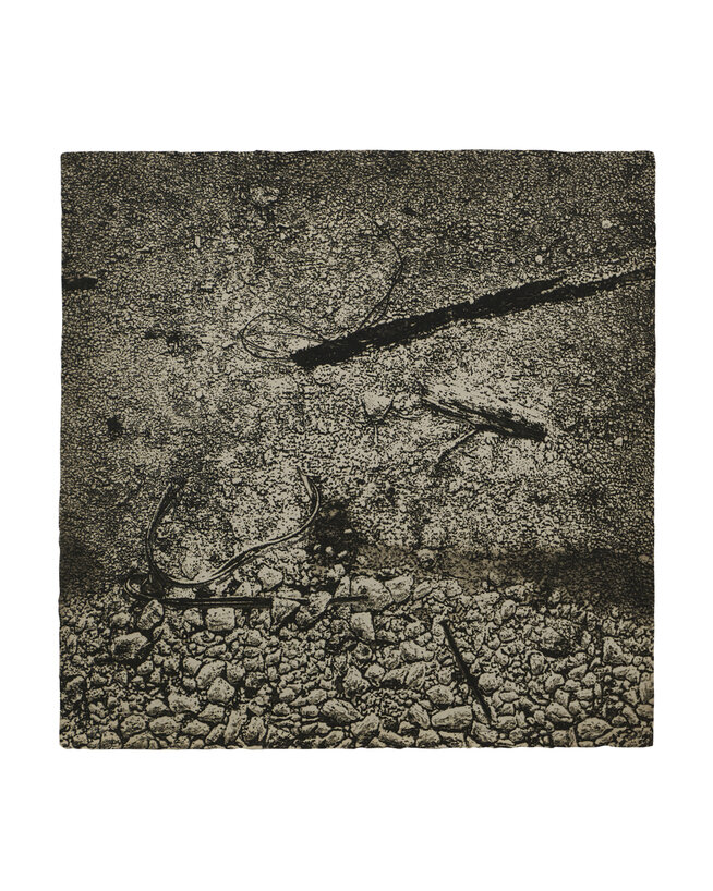 中林忠良：枯榮之間》展覽| art-mate.net